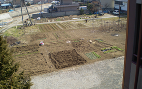 家庭菜園(無料貸し出し)