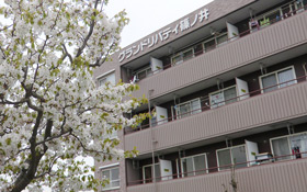 近隣環境